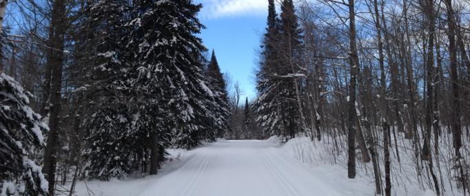 Onion River Ski Trail