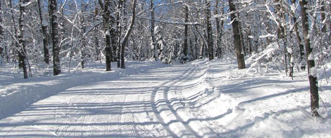 The Groomed Trail